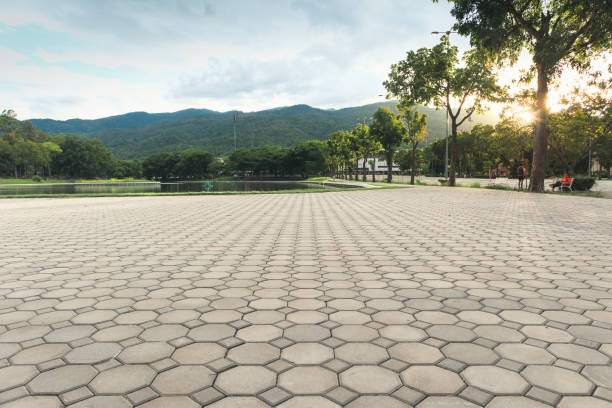 Best Local Driveway Pavers  in Montgomery, AL